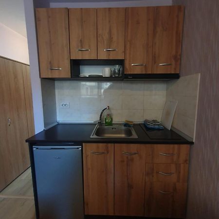 Mechka Ski Apartment Bansko Dış mekan fotoğraf