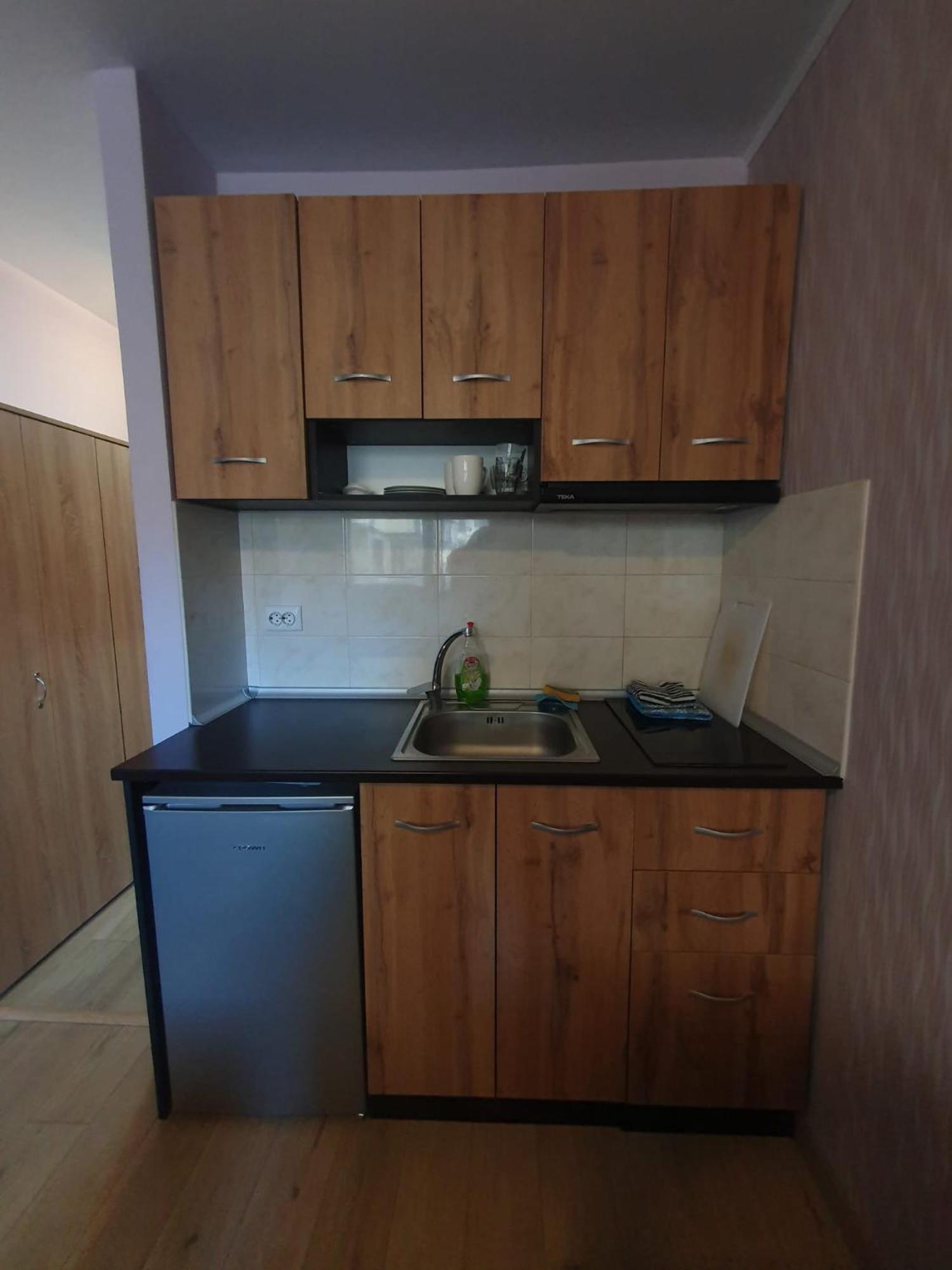 Mechka Ski Apartment Bansko Dış mekan fotoğraf